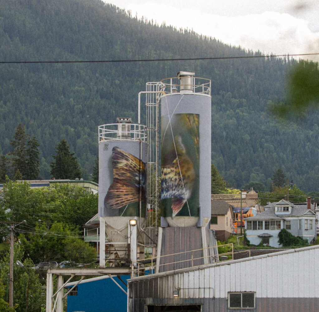 Attracted mural by Jack Lack (a rainbow trout swimming across two white silos) with mountains in the background.